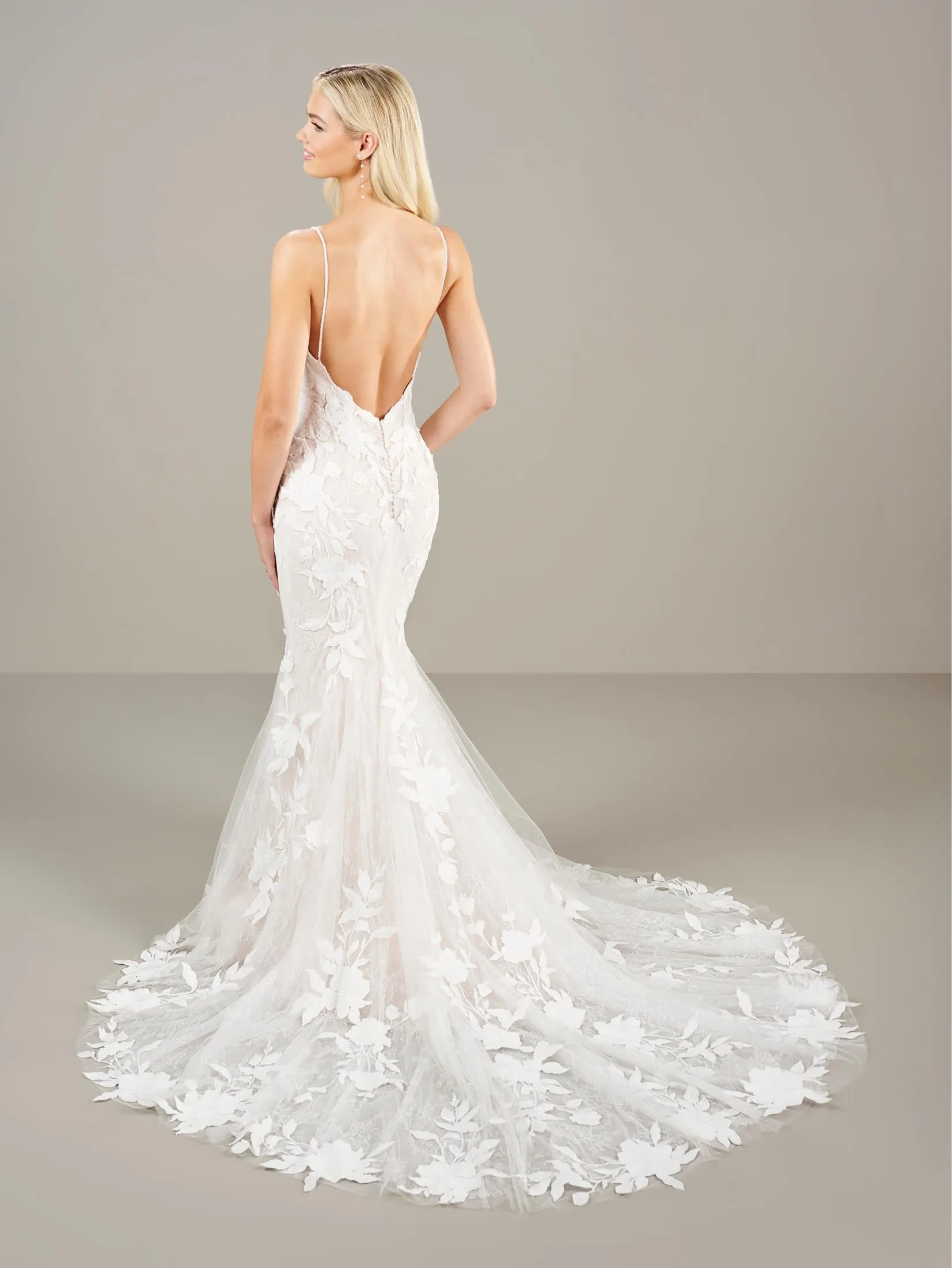 Delicate Lace Fit & Flare Wedding Dress by Adrianna Papell Platinum