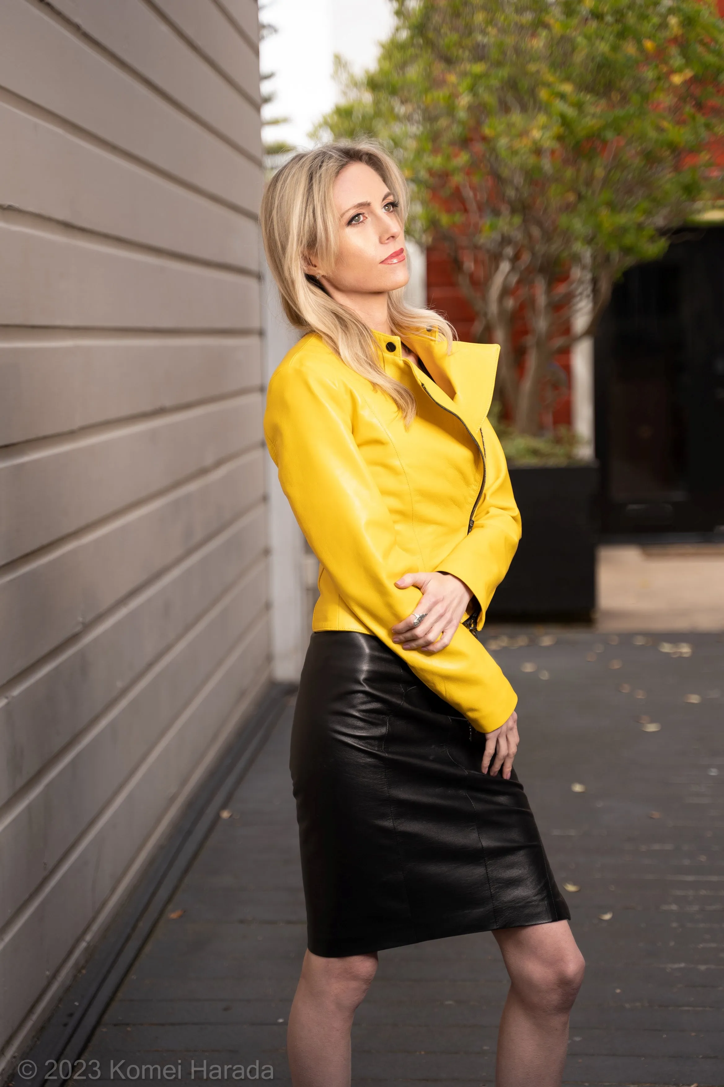 Pencil Skirt from the Library Collection