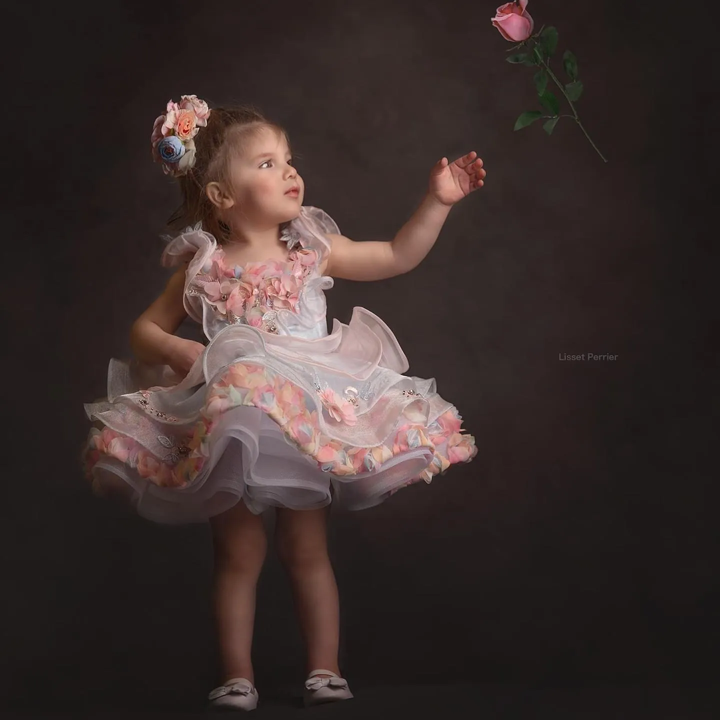 Rainbow Rose - Lil Sister