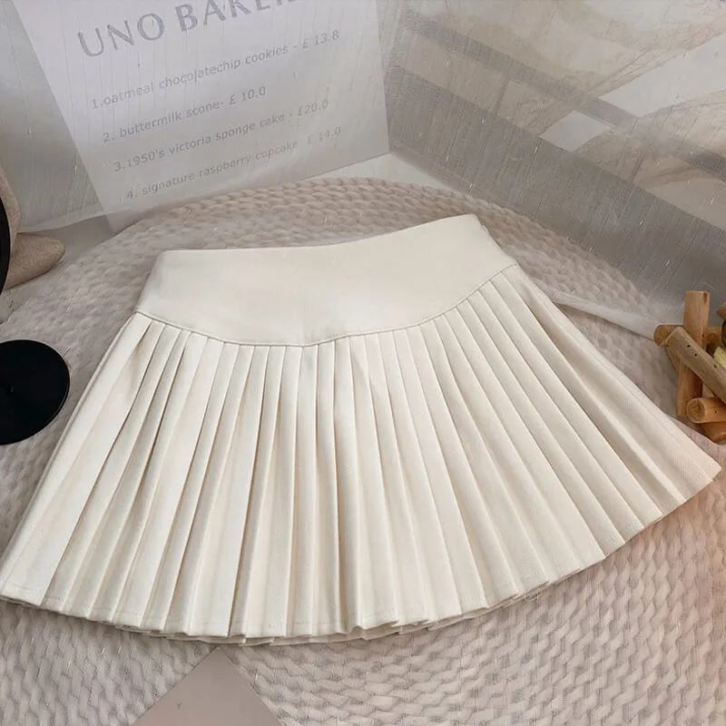 Small Folds Pleated Aesthetic Skirt